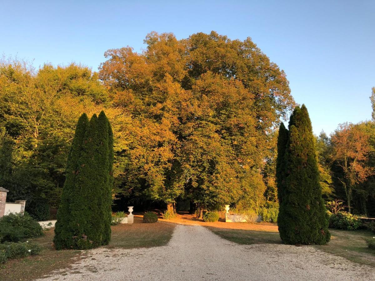 Chateau De Moison, Domaine Eco Nature Bed and Breakfast Ivoy-le-Pré Εξωτερικό φωτογραφία