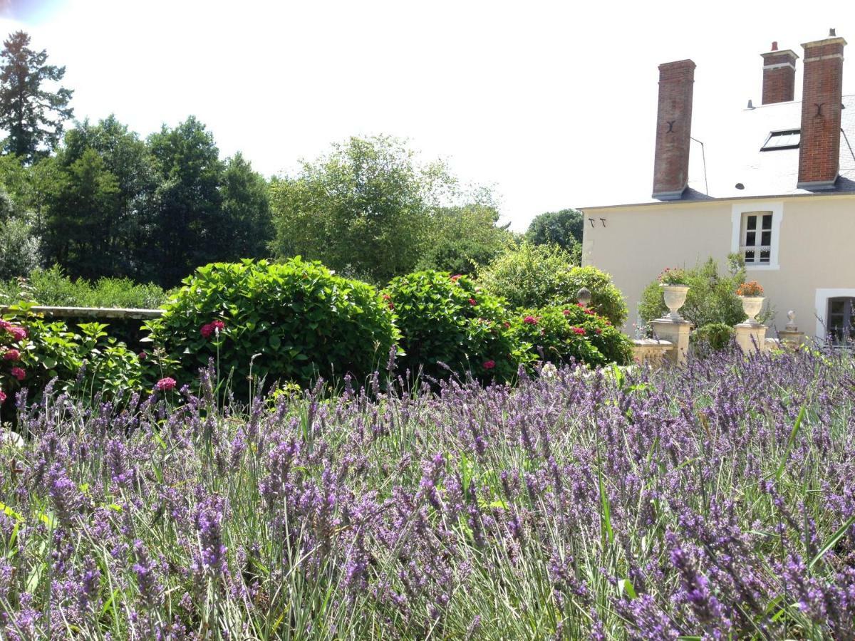 Chateau De Moison, Domaine Eco Nature Bed and Breakfast Ivoy-le-Pré Εξωτερικό φωτογραφία