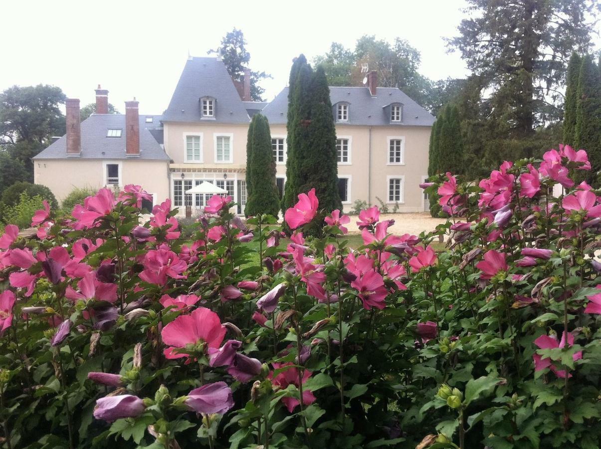 Chateau De Moison, Domaine Eco Nature Bed and Breakfast Ivoy-le-Pré Εξωτερικό φωτογραφία